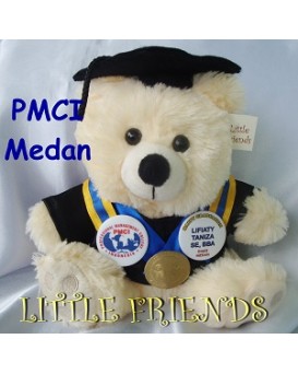 Boneka Wisuda PMCI Medan (25 cm)